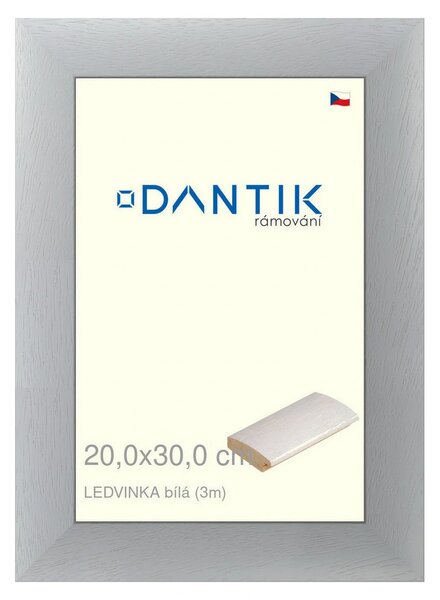 DANTIK rám na obraz 20x30 | LEDVINKA bílá (Sklo Čiré)