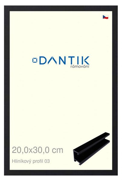DANTIK rám na obraz 20x30 | ALU Černá matná (Sklo Čiré)