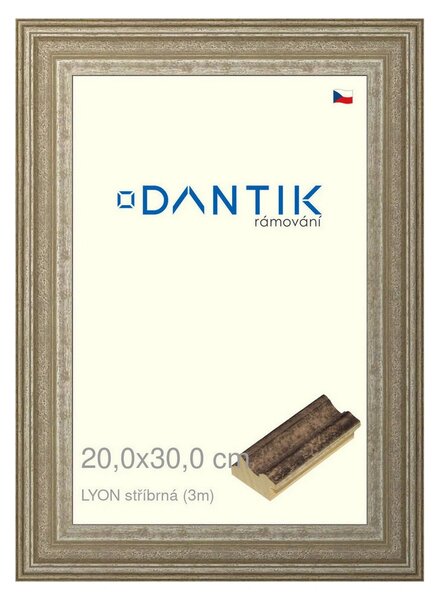 DANTIK rám na obraz 20x30 | LYON stříbrná (Sklo Čiré)