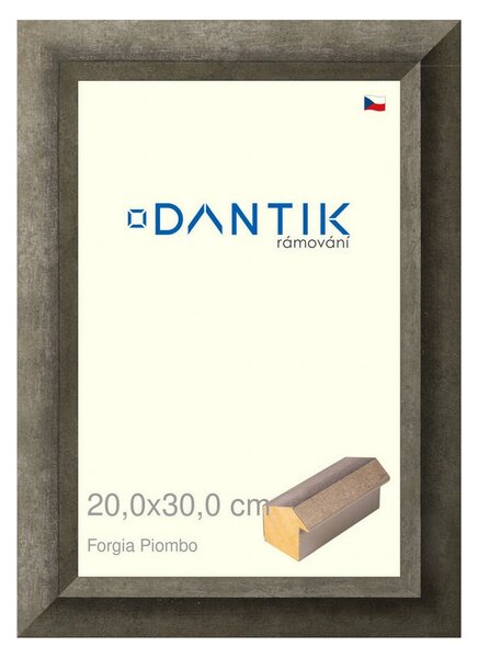 DANTIK rám na obraz 20x30 | Forgia Piombo (Sklo Čiré)