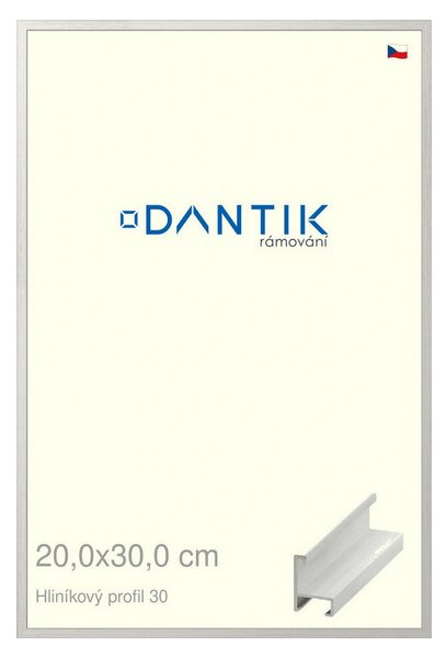 DANTIK rám na obraz 20x30 | ALU Dýha bílá (Sklo Čiré)