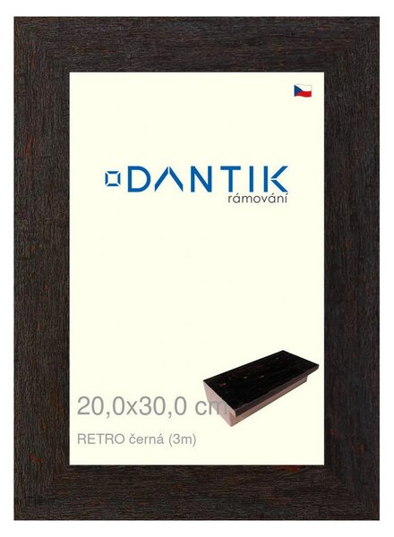 DANTIK rám na obraz 20x30 | RETRO černá (Sklo Čiré)