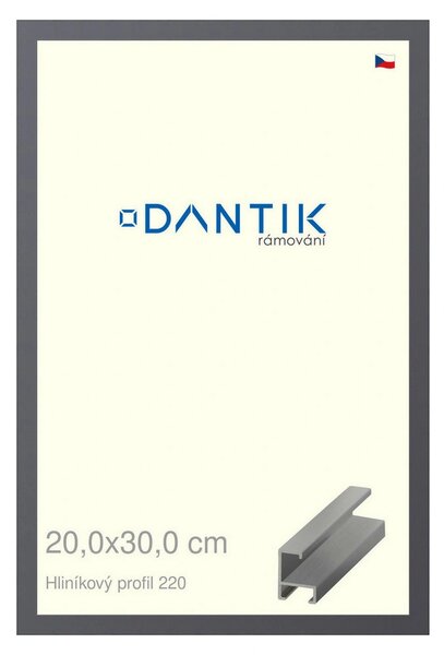 DANTIK rám na obraz 20x30 | ALU Ocelová (Sklo Čiré)