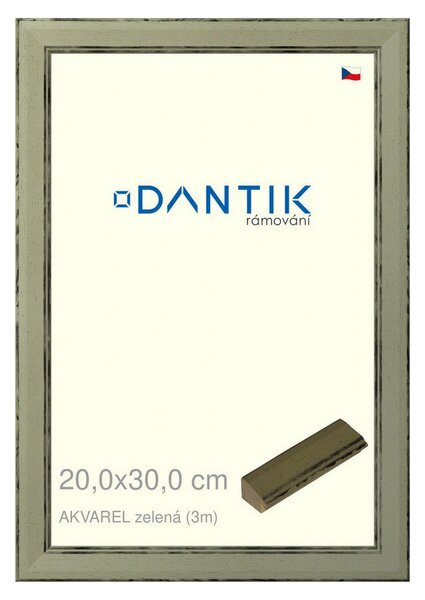 DANTIK rám na obraz 20x30 | AKVAREL zelená (Sklo Čiré)