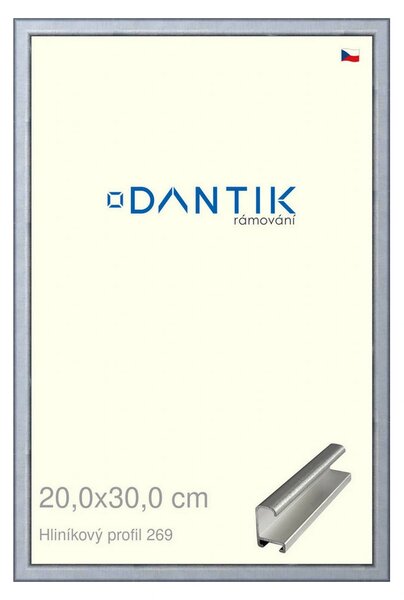 DANTIK rám na obraz 20x30 | ALU Sstříbrná broušená (Sklo Čiré)