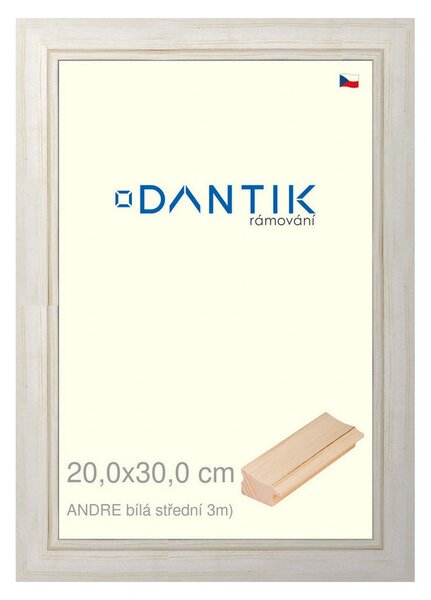 DANTIK rám na obraz 20x30 | ANDRE Bílá střední (Sklo Čiré)