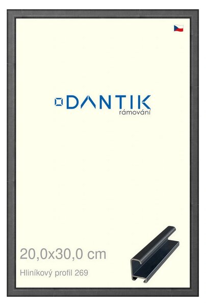 DANTIK rám na obraz 20x30 | ALU Šedá Oplal broušená (Sklo Čiré)