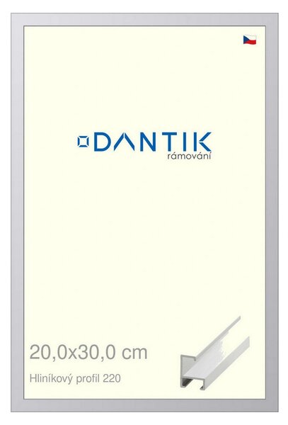 DANTIK rám na obraz 20x30 | ALU Bílá matná (Sklo Čiré)