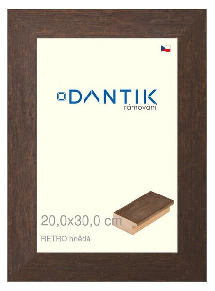 DANTIK rám na obraz 20x30 | RETRO hnědá (Sklo Čiré)