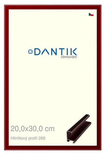DANTIK rám na obraz 20x30 | ALU Červená Rubin broušená (Sklo Čiré)