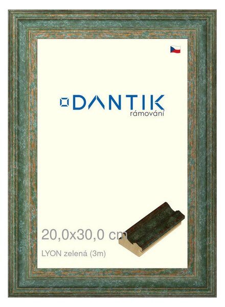 DANTIK rám na obraz 20x30 | LYON zelená (Sklo Čiré)