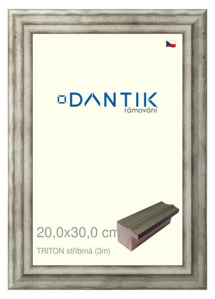 DANTIK rám na obraz 20x30 | TRITON stříbrná (Sklo Čiré)