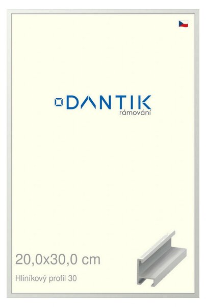 DANTIK rám na obraz 20x30 | ALU Bílá matná (Sklo Čiré)