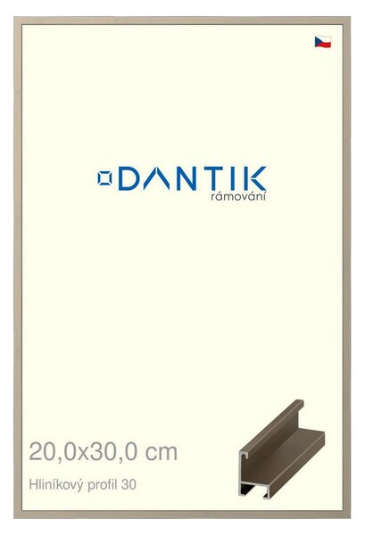 DANTIK rám na obraz 20x30 | ALU champagne (Sklo Čiré)
