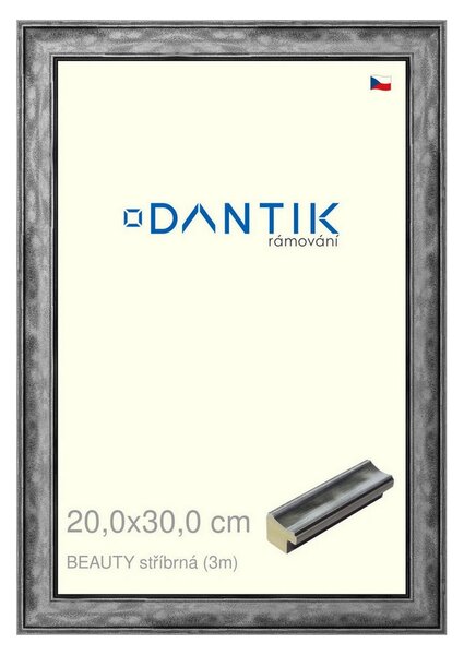 DANTIK rám na obraz 20x30 | BEAUTY stříbrná (Sklo Čiré)