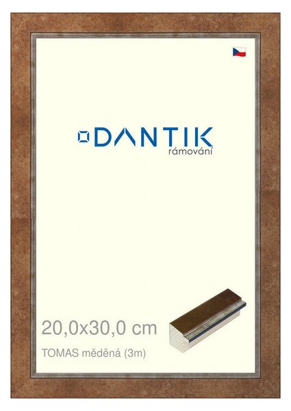DANTIK rám na obraz 20x30 | TOMAS měděná (Sklo Čiré)