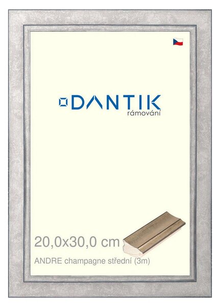 DANTIK rám na obraz 20x30 | ANDRE champagne střední (Sklo Čiré)