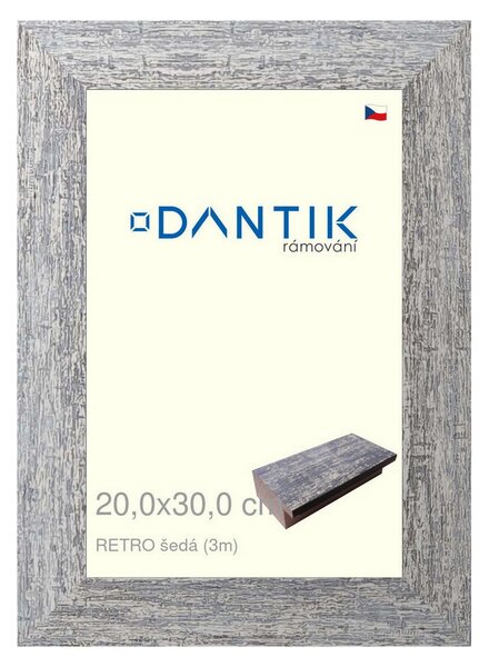 DANTIK rám na obraz 20x30 | RETRO šedá (Sklo Čiré)