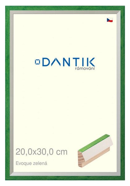DANTIK rám na obraz 20x30 | EVOQUE zelená (Sklo Čiré)