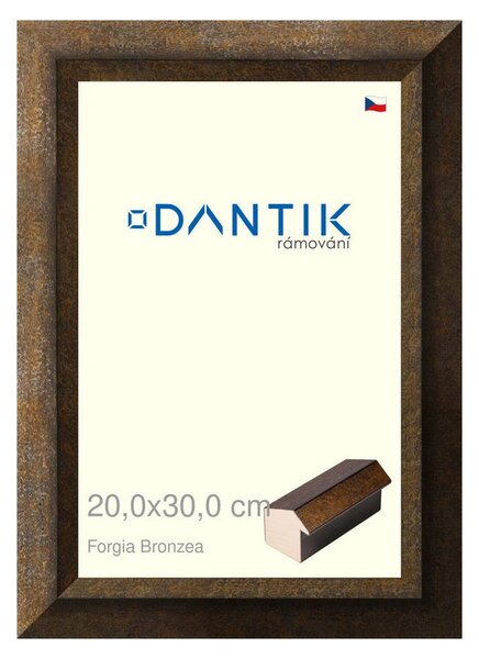 DANTIK rám na obraz 20x30 | Forgia Bronzea (Sklo Čiré)