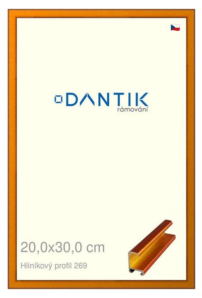 DANTIK rám na obraz 20x30 | ALU Oranžová Citrin broušená (Sklo Čiré)