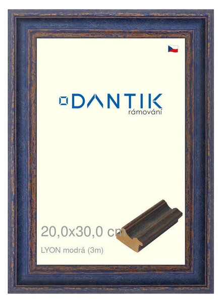 DANTIK rám na obraz 20x30 | LYON modrá (Sklo Čiré)