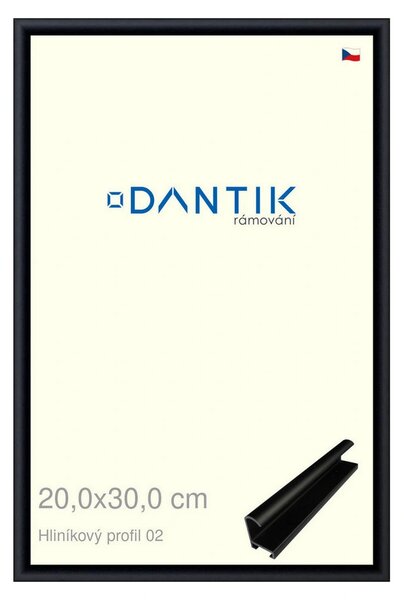 DANTIK rám na obraz 20x30 | ALU Černá matná (Sklo Čiré)