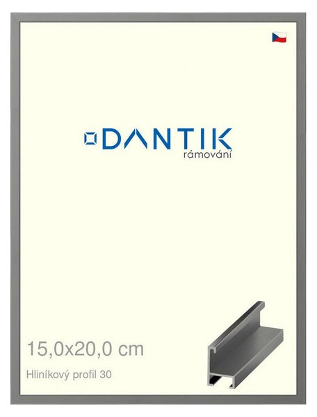 DANTIK rám na obraz 15x20 | ALU Ocelová (Sklo Čiré)
