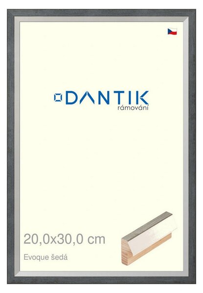 DANTIK rám na obraz 20x30 | EVOQUE šedá (Sklo Čiré)