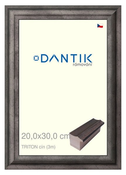 DANTIK rám na obraz 20x30 | TRITON cín (Sklo Čiré)