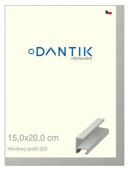 DANTIK rám na obraz 15x20 | ALU Stříbrná matná (Sklo Čiré)