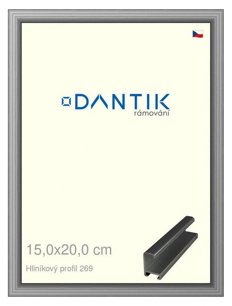 DANTIK rám na obraz 15x20 | ALU Šedá leská (Sklo Čiré)
