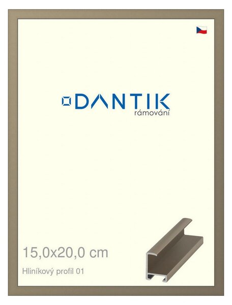 DANTIK rám na obraz 15x20 | ALU champagne (Sklo Čiré)