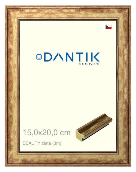 DANTIK rám na obraz 15x20 | BEAUTY zlatá (Sklo Čiré)