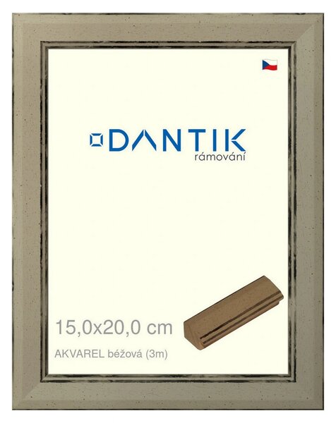 DANTIK rám na obraz 15x20 | AKVAREL béžová (Sklo Čiré)