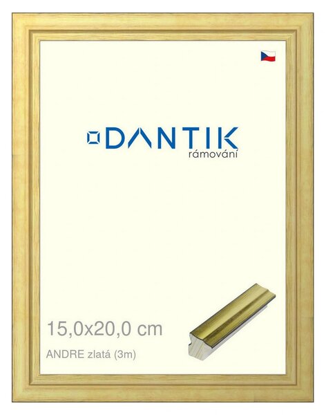 DANTIK rám na obraz 15x20 | ANDRE zlatá (Sklo Čiré)