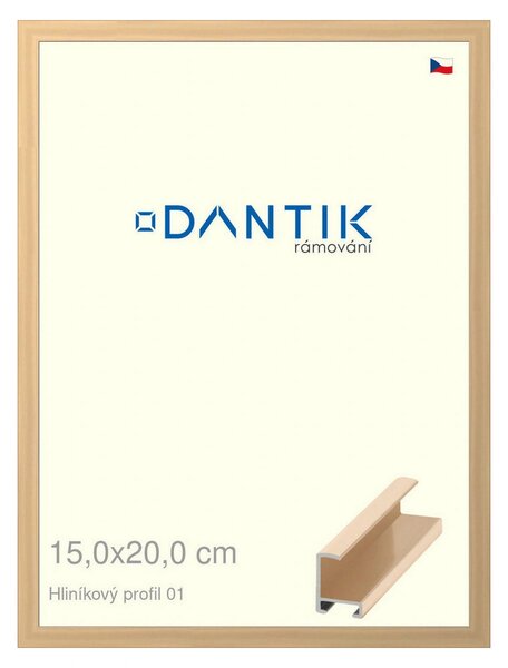 DANTIK rám na obraz 15x20 | ALU Zlatá lesklá (Sklo Čiré)