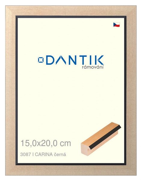 DANTIK rám na obraz 15x20 | CARINA černá (Sklo Čiré)