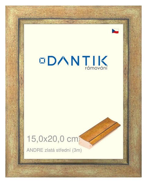 DANTIK rám na obraz 15x20 | ANDRE zlatá střední (Sklo Čiré)