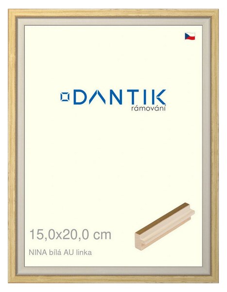 DANTIK rám na obraz 15x20 | NINA bílá AUlinka (Sklo Čiré)