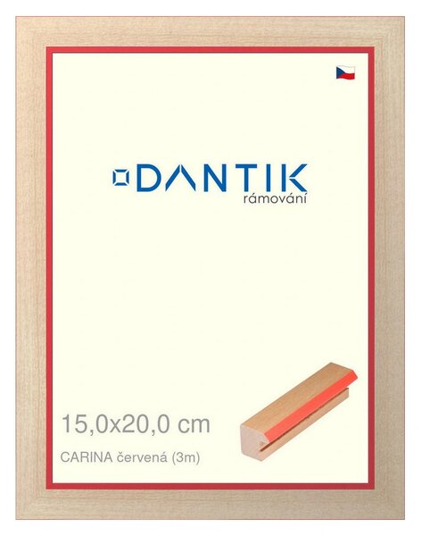DANTIK rám na obraz 15x20 | CARINA červená (Sklo Čiré)