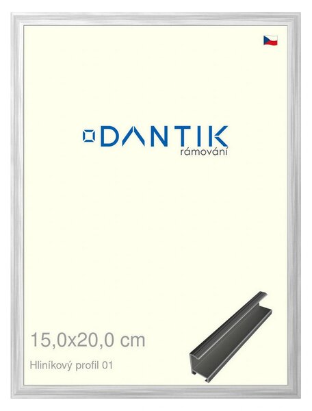 DANTIK rám na obraz 15x20 | ALU Stříbrná lesklá (Sklo Čiré)