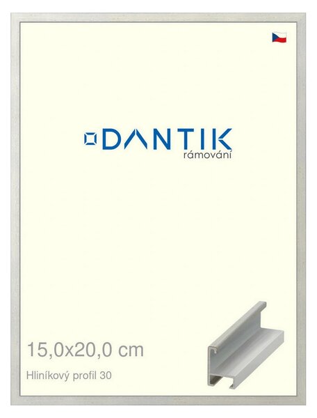 DANTIK rám na obraz 15x20 | ALU Dýha barevná šedá světlá (Sklo Čiré)