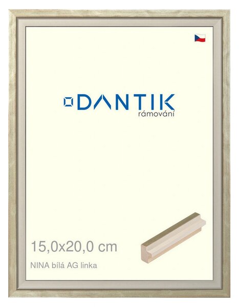 DANTIK rám na obraz 15x20 | NINA bílá AGlinka (Sklo Čiré)