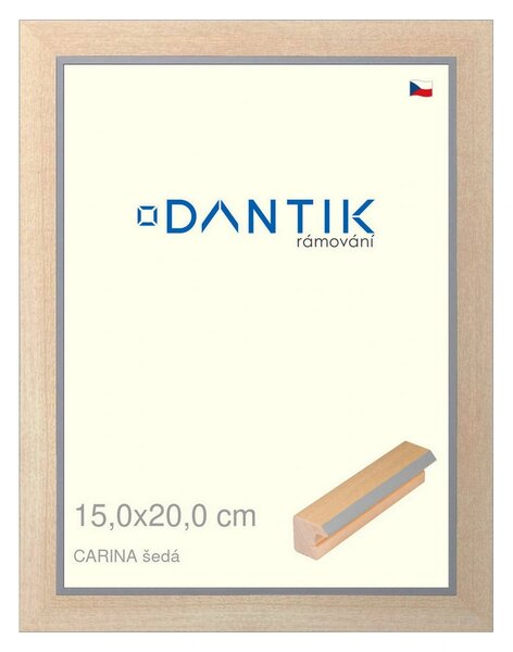 DANTIK rám na obraz 15x20 | CARINA šedá (Sklo Čiré)