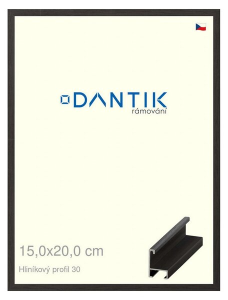 DANTIK rám na obraz 15x20 | ALU Dýha černá (Sklo Čiré)