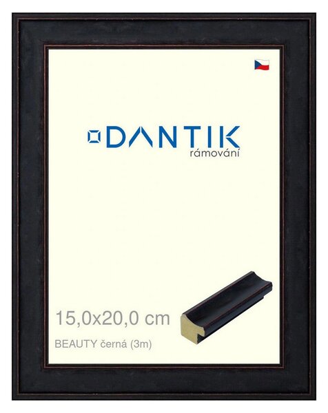 DANTIK rám na obraz 15x20 | BEAUTY černá (Sklo Čiré)