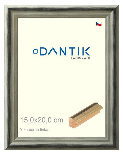 DANTIK rám na obraz 15x20 | Y-ka černá linka (Sklo Čiré)