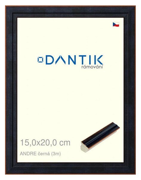 DANTIK rám na obraz 15x20 | ANDRE černá (Sklo Čiré)
