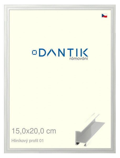 DANTIK rám na obraz 15x20 | ALU Stříbrná lesklá (Sklo Čiré)
